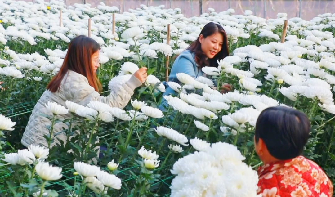 �F�ǅ^(q��)���ջ��㣬�M�ء���