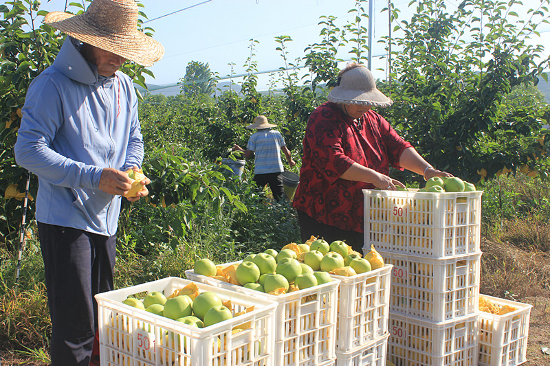 ��óԣ����Ѕ^(q��)ǰ�����@�����@������������